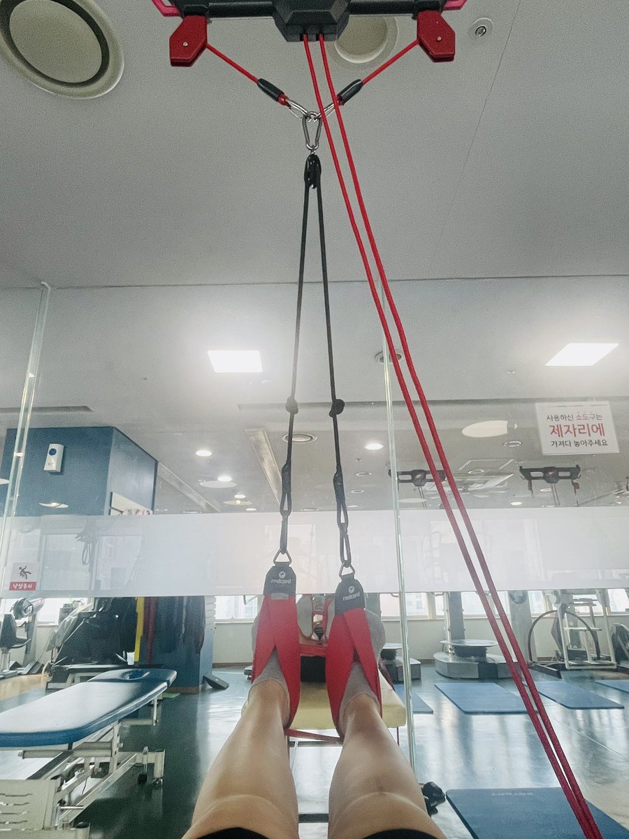 찔레꽃 tweet media