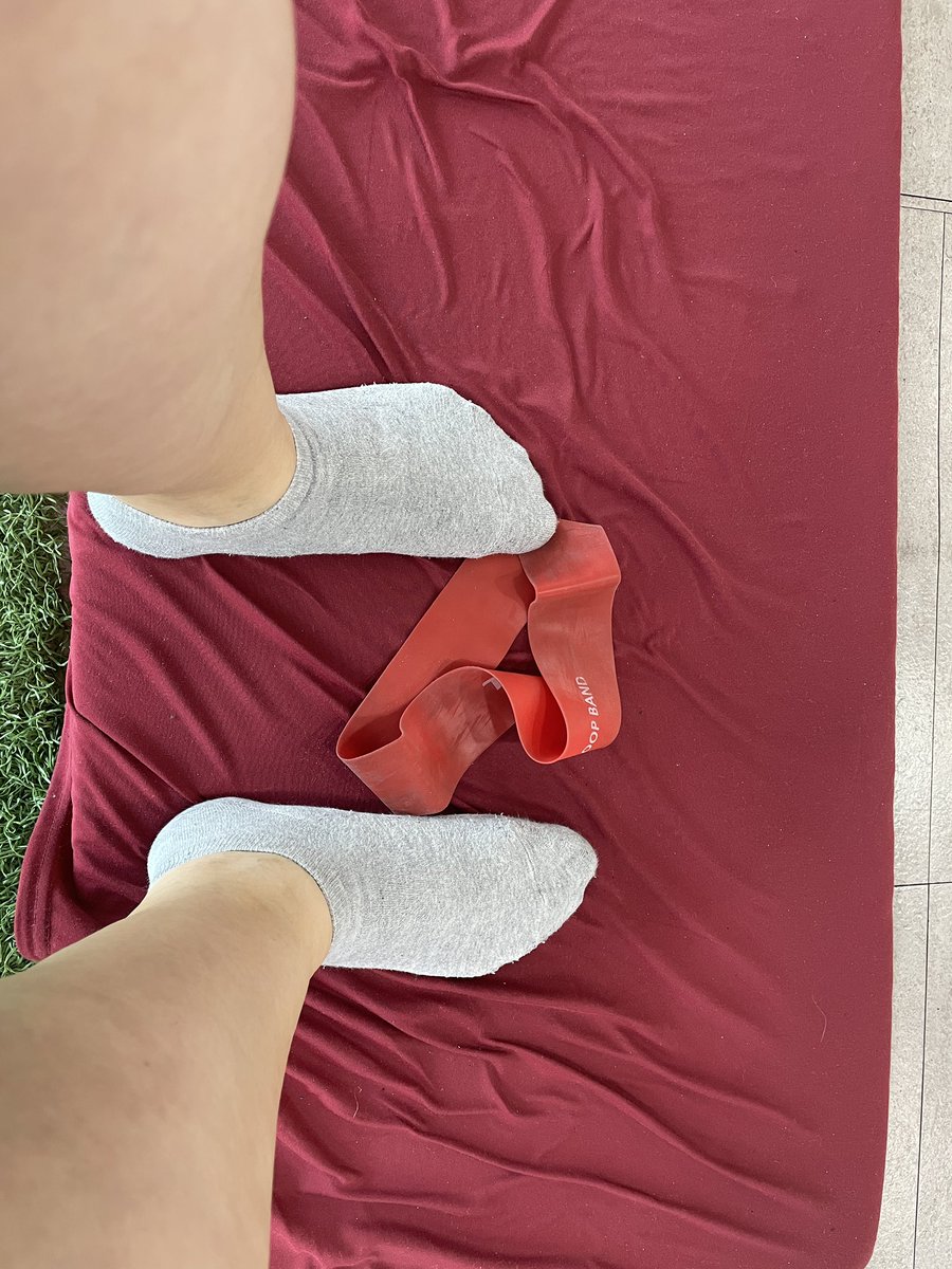 찔레꽃 tweet media