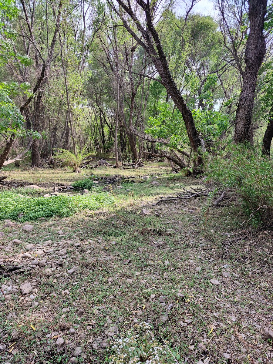 AxelyViolet tweet media