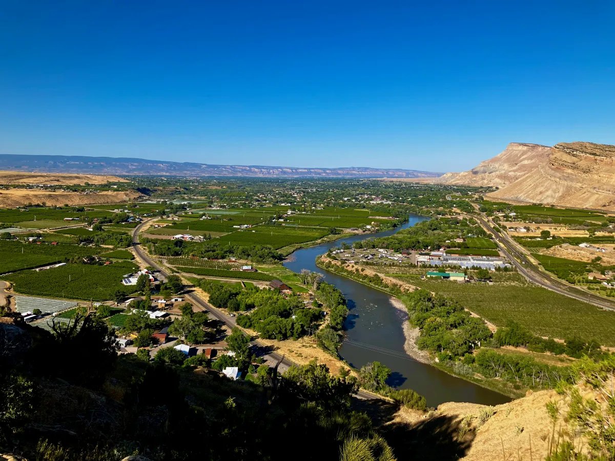 Matt Paulson tweet media