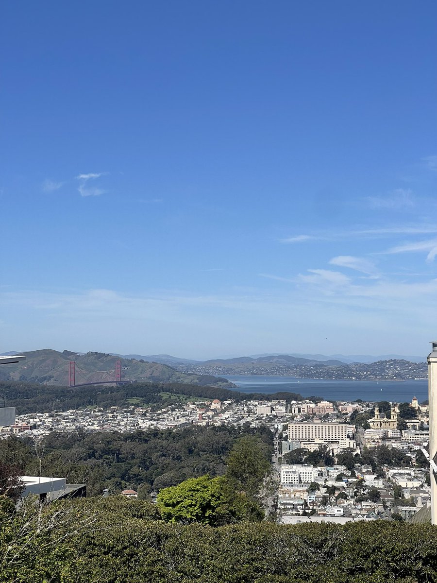 Stuart Bladon tweet media