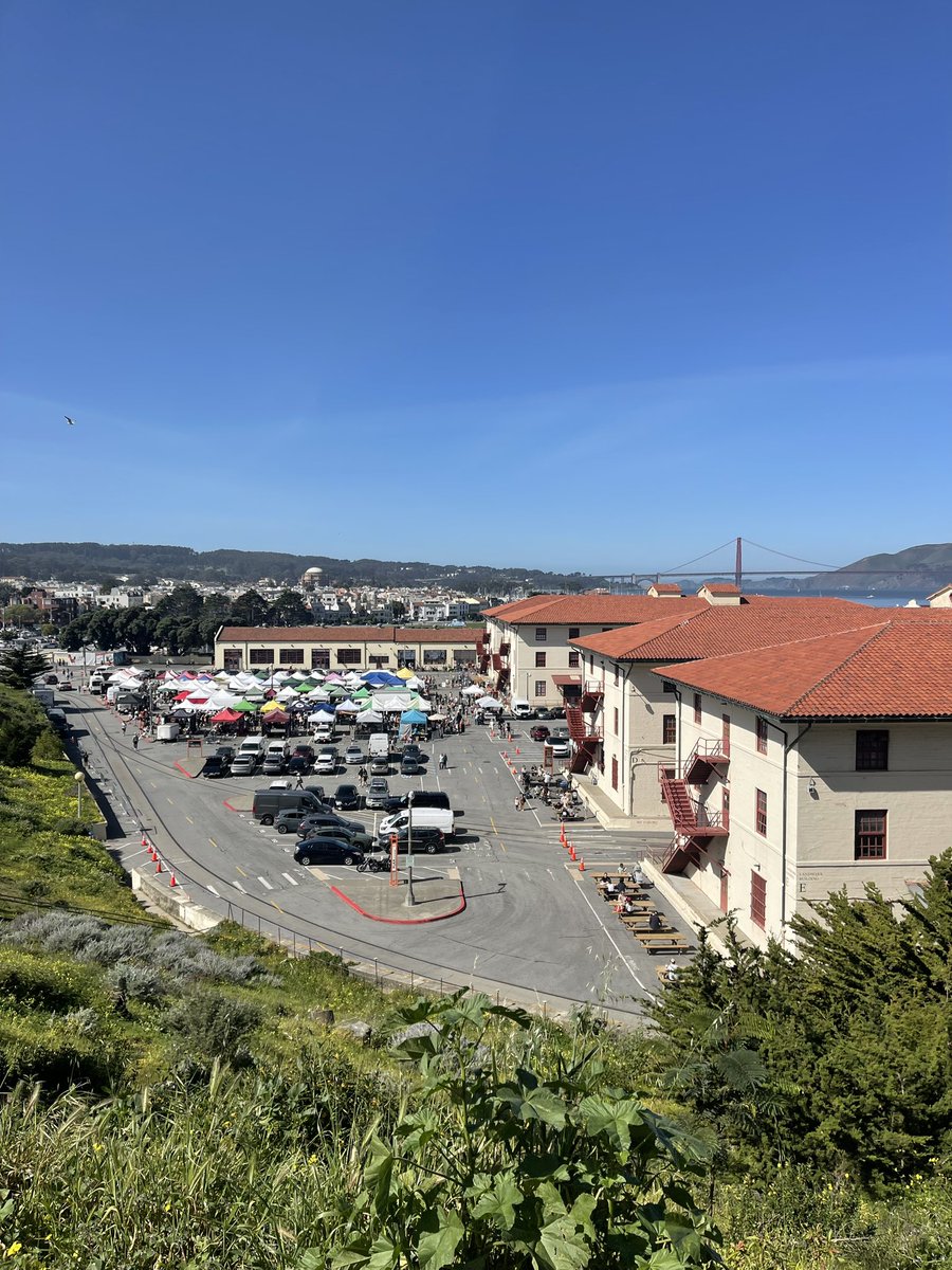 Stuart Bladon tweet media