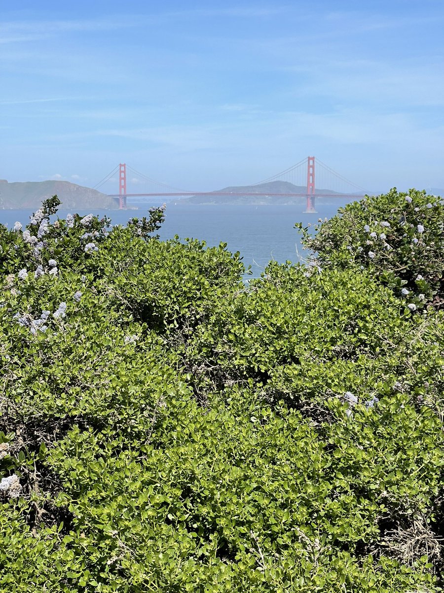 Stuart Bladon tweet media