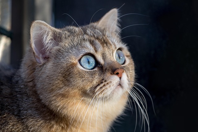 Lyndsey Allen tweet media