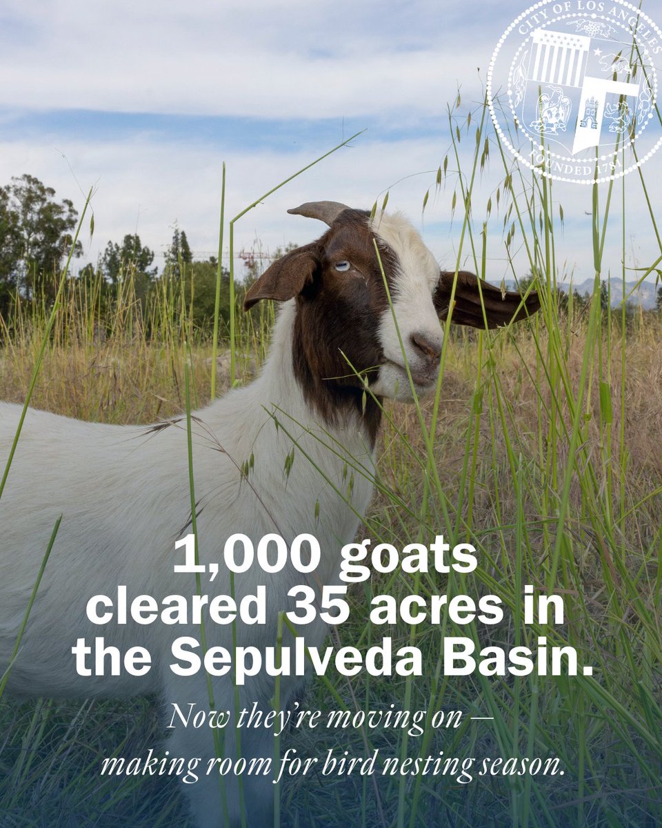 Mayor Karen Bass tweet media