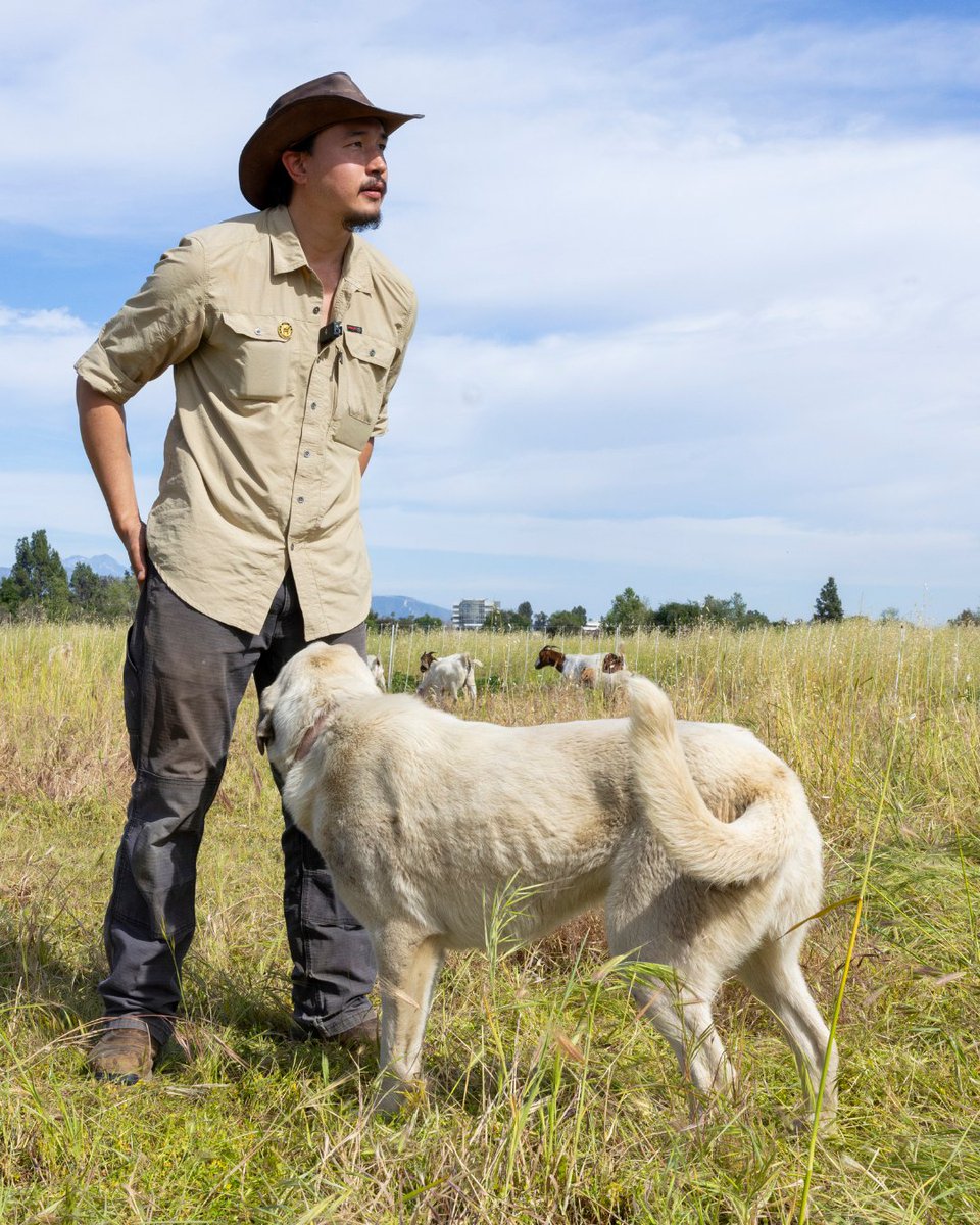 Mayor Karen Bass tweet media