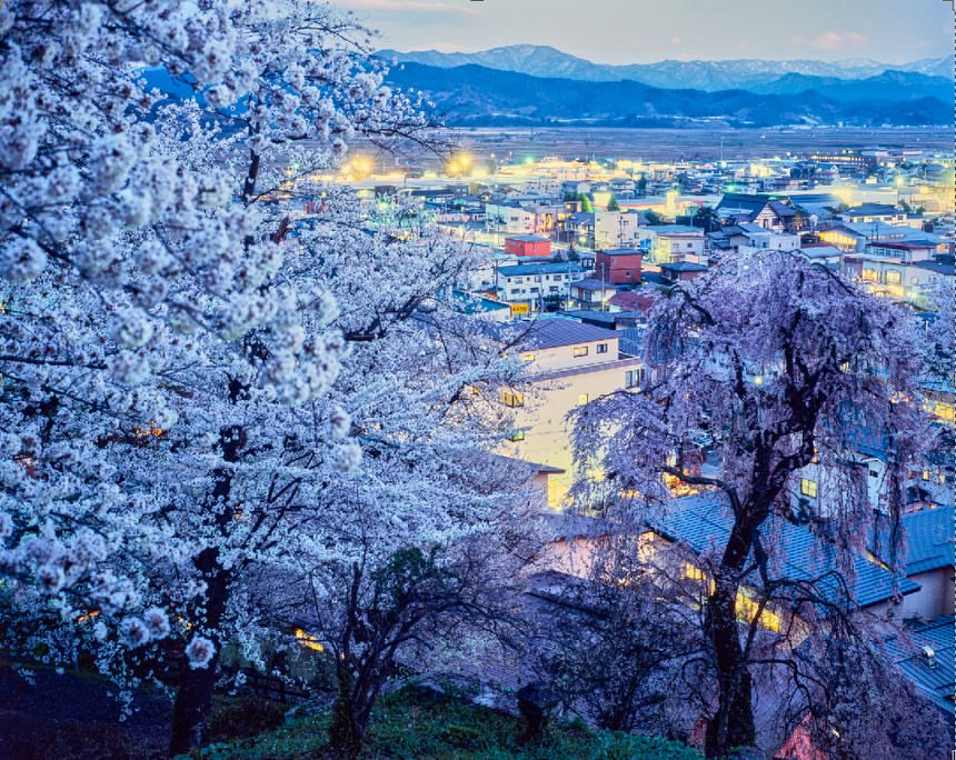 Greg Girard tweet media