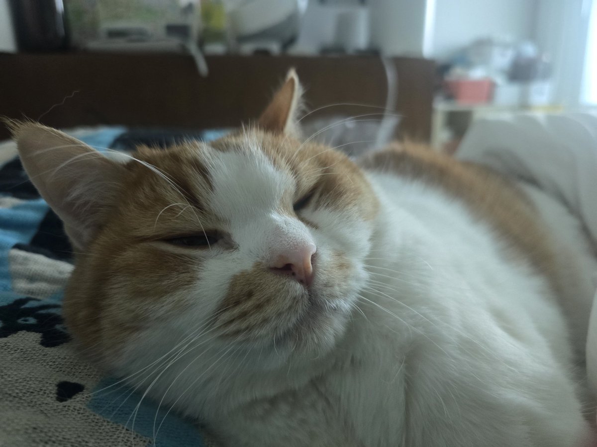 순대만 주세요 tweet media