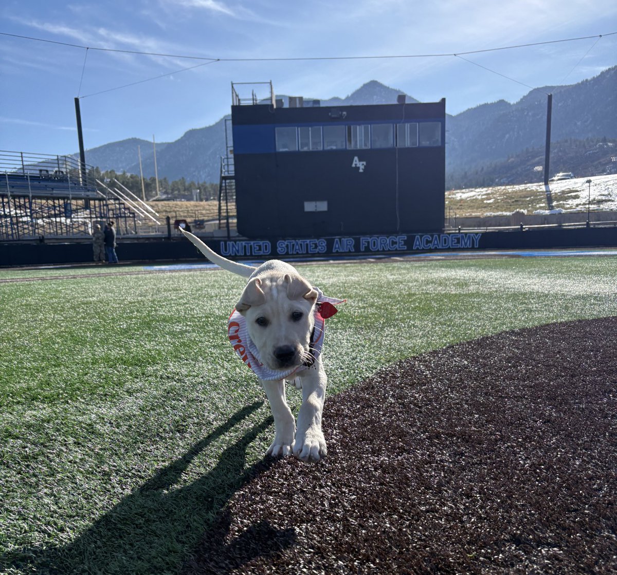 Tyler Dawson tweet media