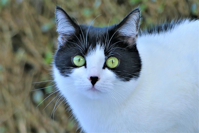 Catherine Peterson tweet media