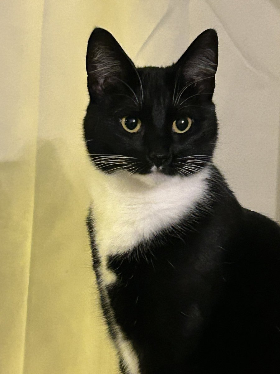 Becki Williams tweet media