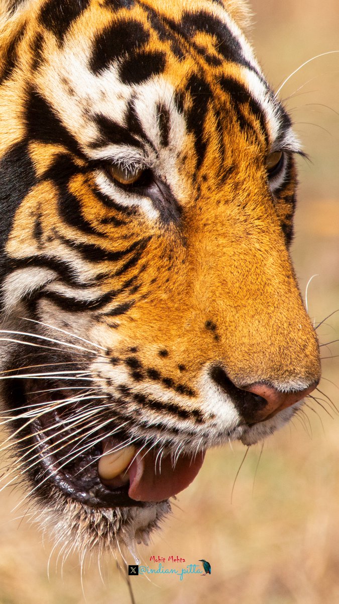 Reset your X feed:   
The algorithm watches dwell time —   how long you pause, read, or stare.    

That pause tells it: "Show more of this."   (No like needed.)    

Drop an eye-popping image below   to create pause &amp; retrain the algo! 🌅📷<👀