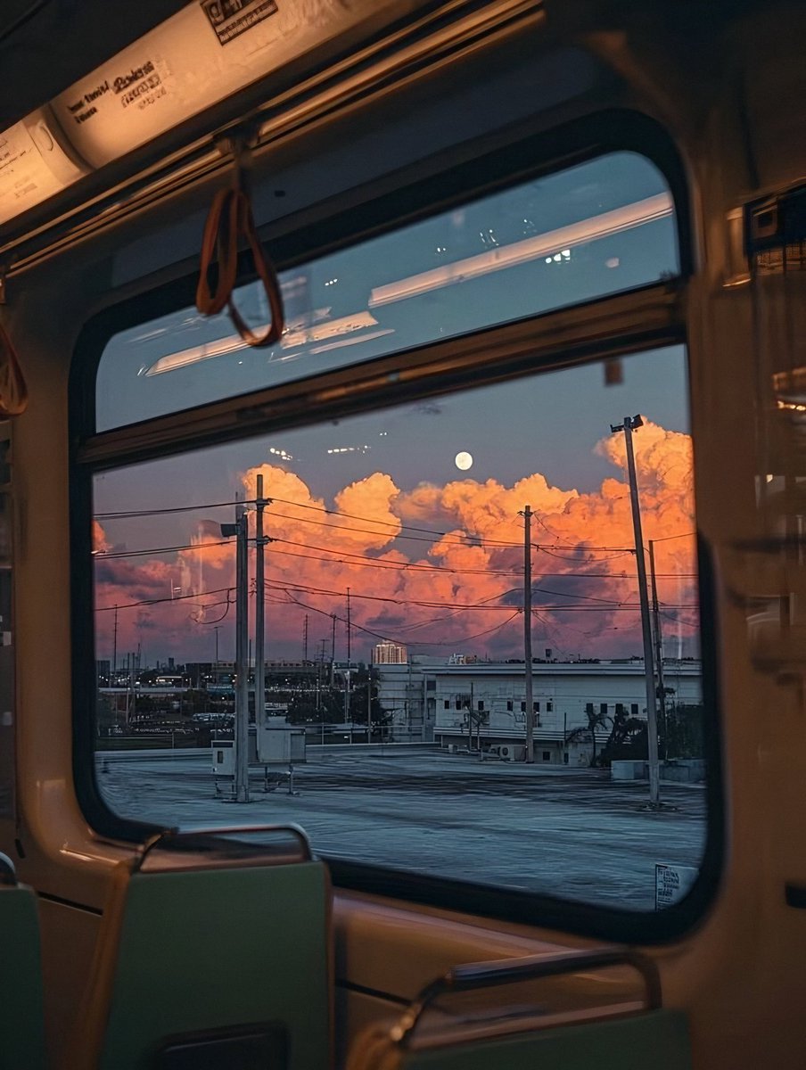 Aesthetics 𝕏 tweet media