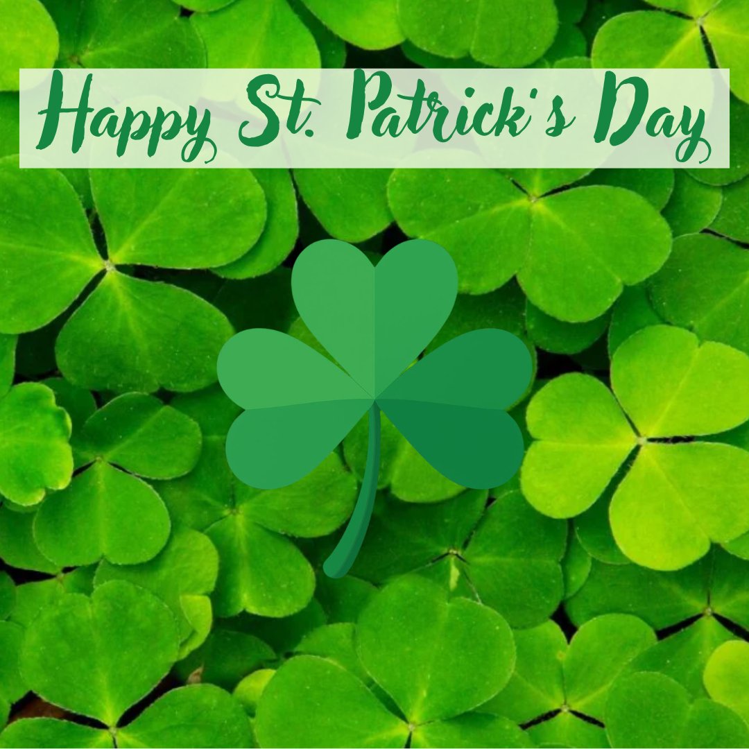 Laura Brown 🍁 tweet media