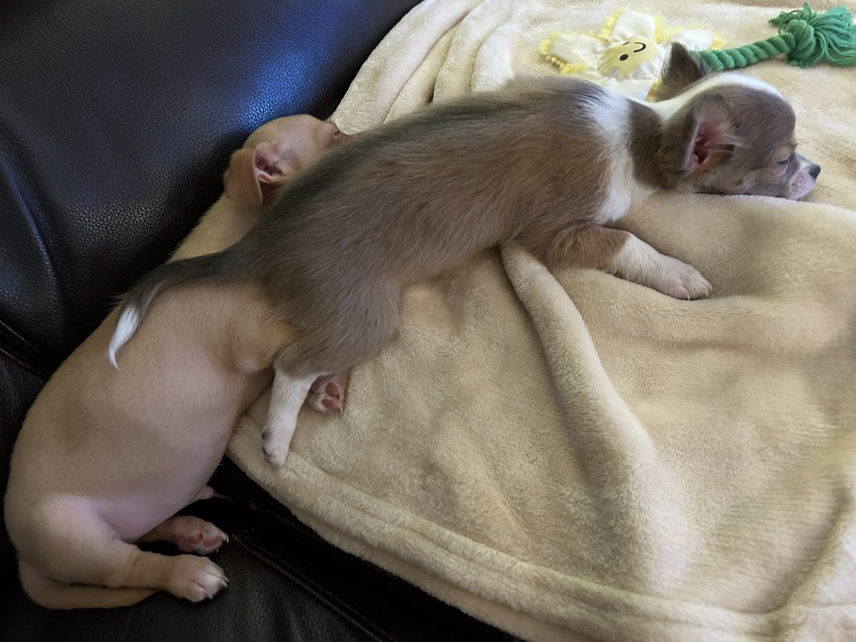 They make me so tired…