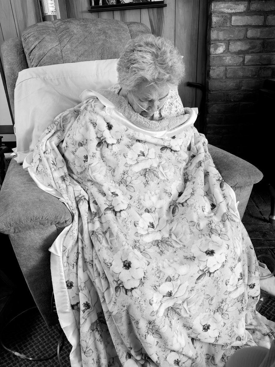 ₿ojangleGuy ❚ ❚ tweet media