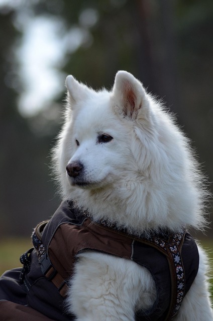 Paul Bhatia tweet media