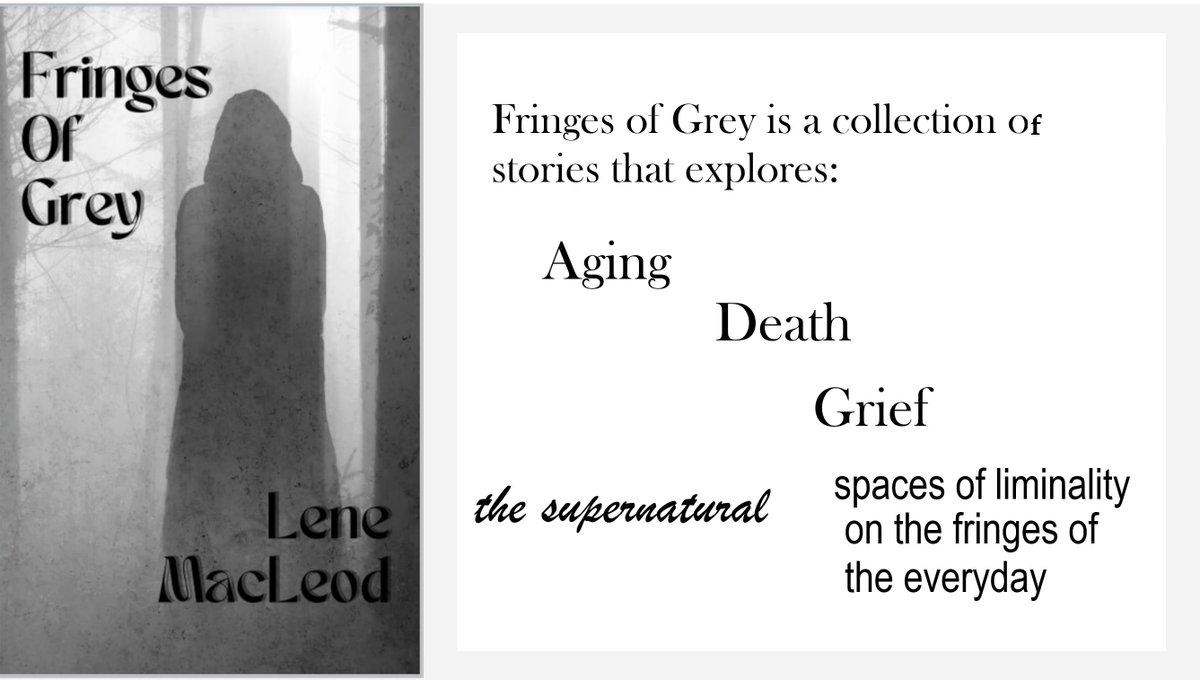 M.M. MacLeod tweet media