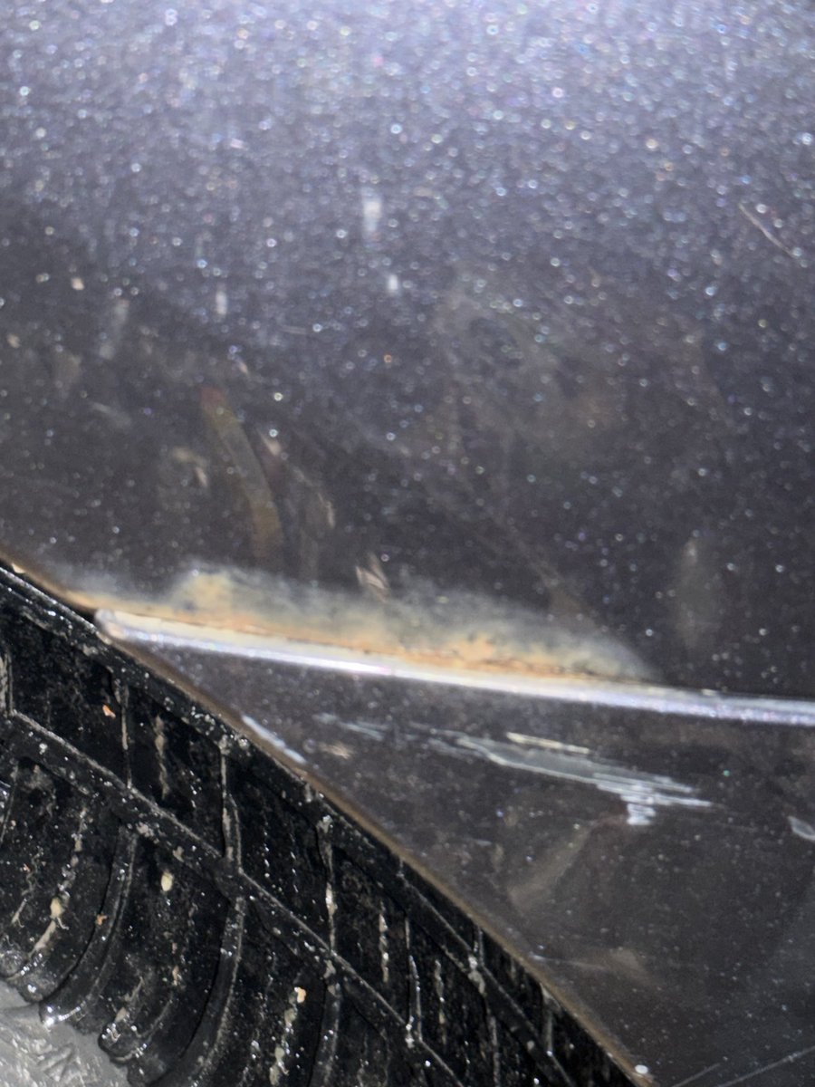 Shar - Oeshar.bsky.social tweet media