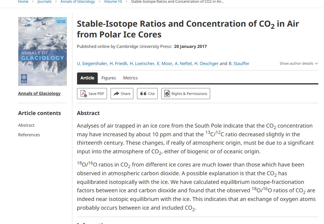 Kerrie McCaffrey tweet media