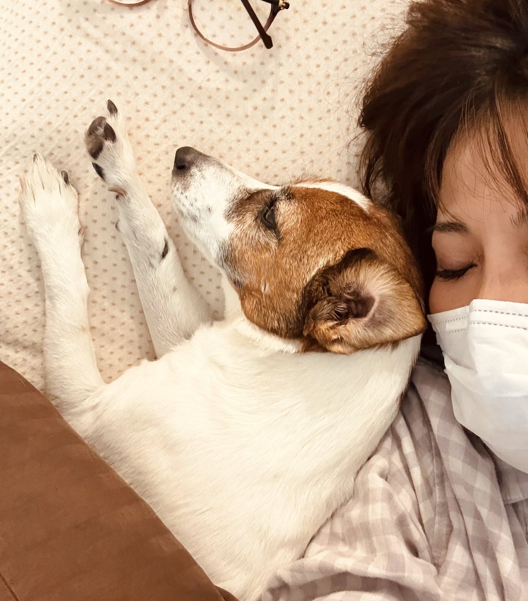 浦壁多恵 tweet media