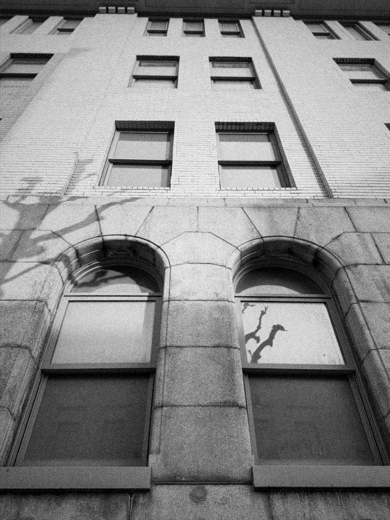 古市憲寿 tweet media