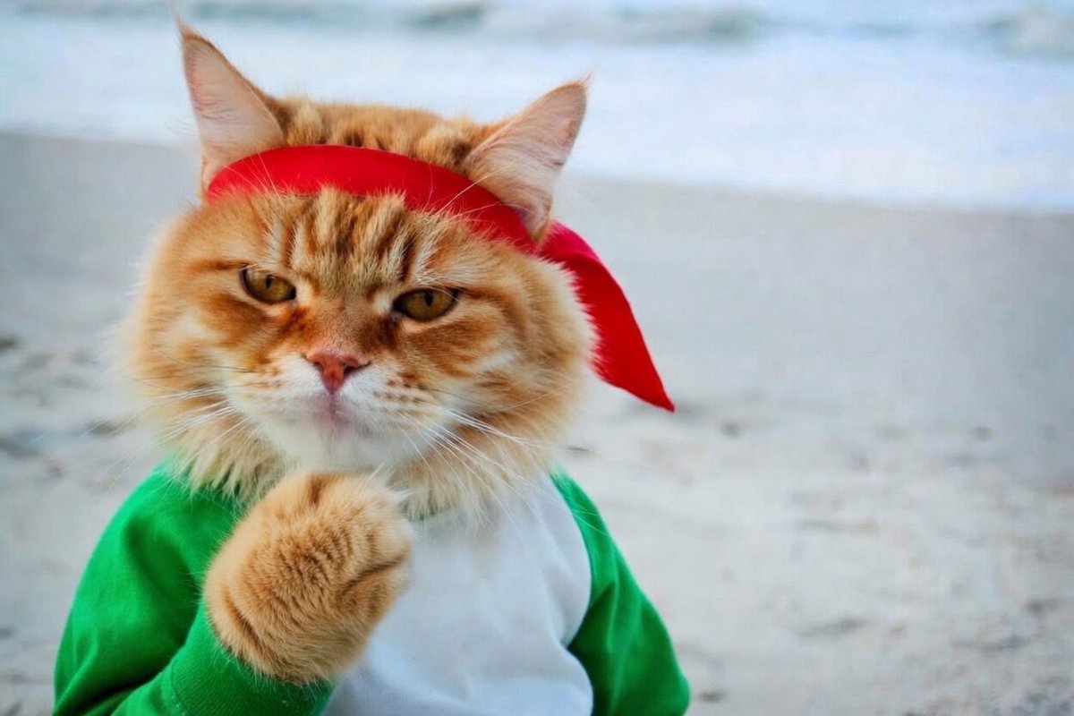 saint jawn tweet media