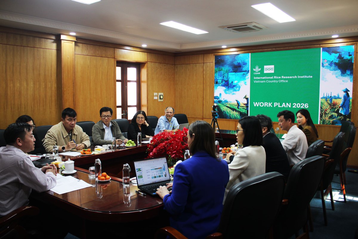 IRRI 🌾 tweet media