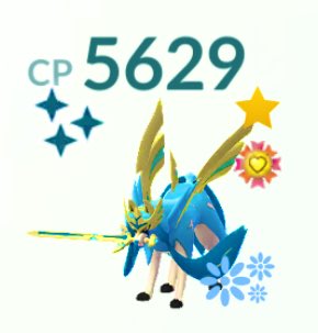 ブラック tweet media