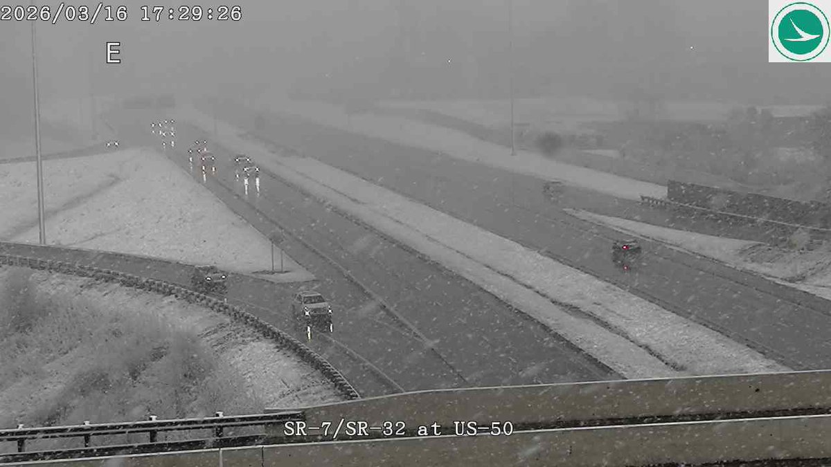 Tyler Sebree ⚡️ tweet media