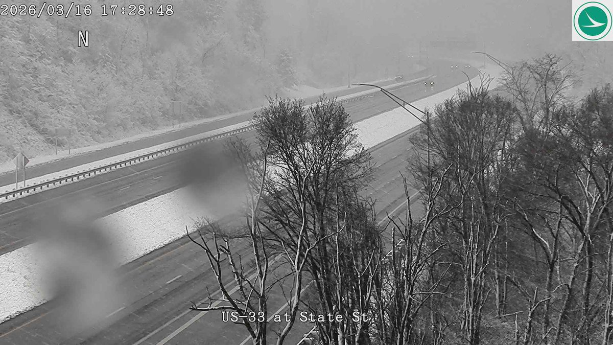 Tyler Sebree ⚡️ tweet media