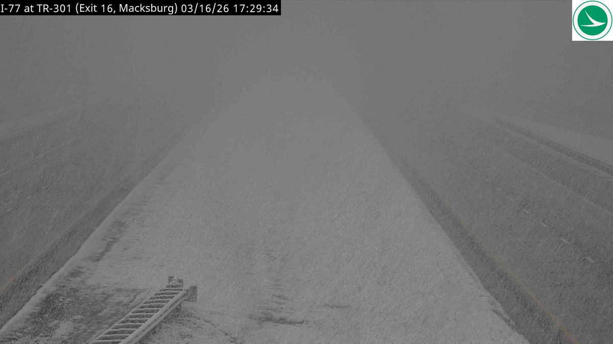 Tyler Sebree ⚡️ tweet media