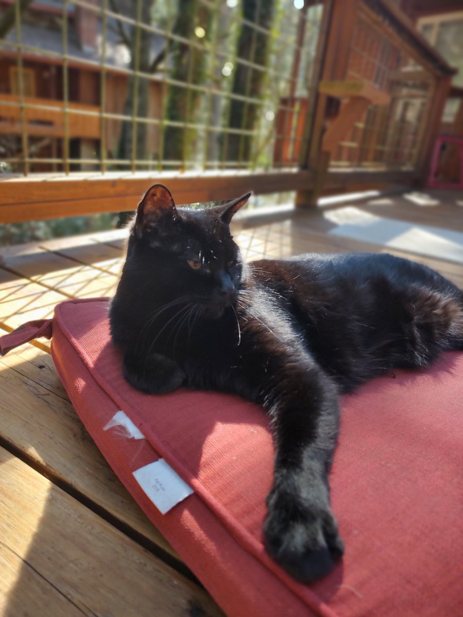 todd pickens tweet media