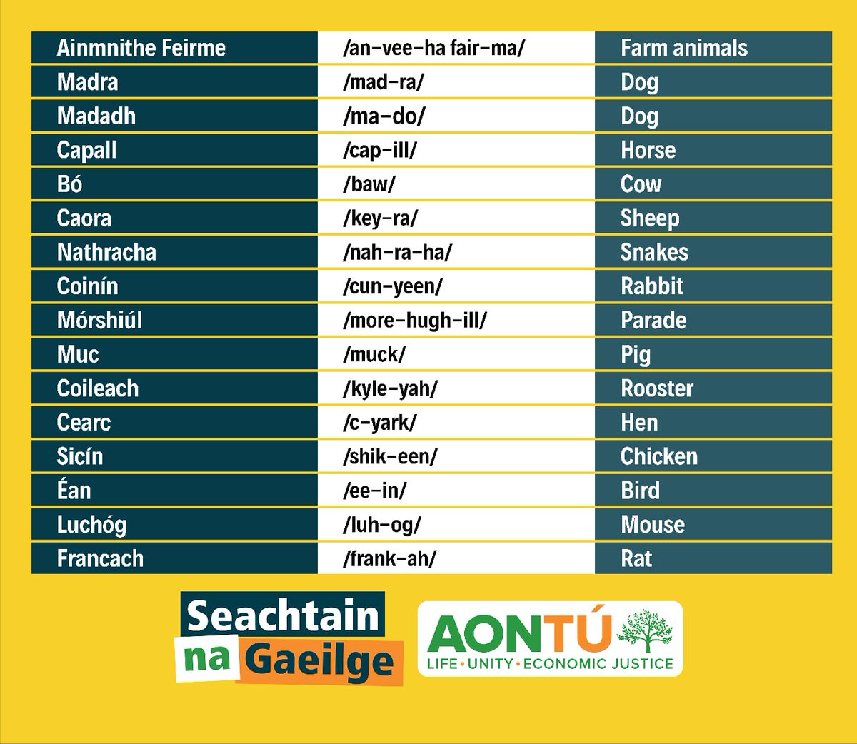 Peadar Tóibín TD tweet media