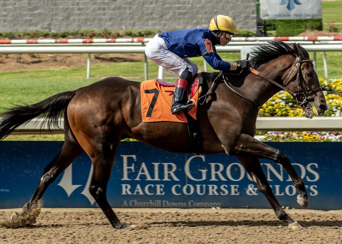 John G. Dooley tweet media