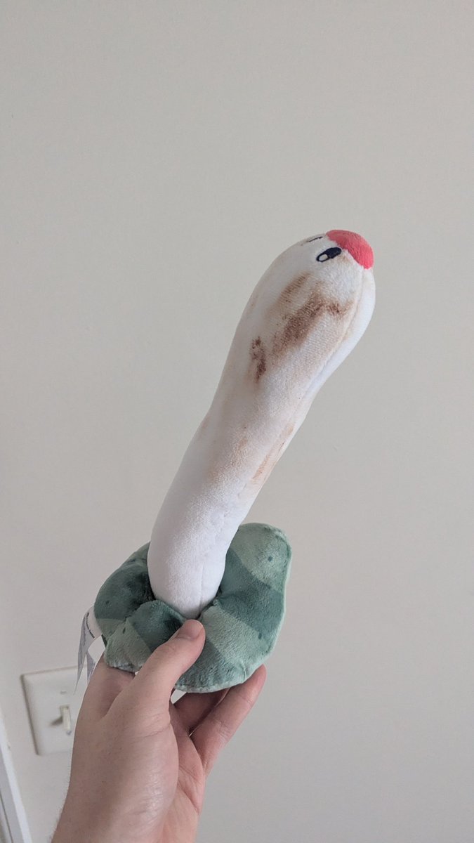 JoJoJosiah tweet media