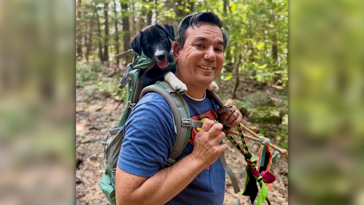 Dateline NBC tweet media