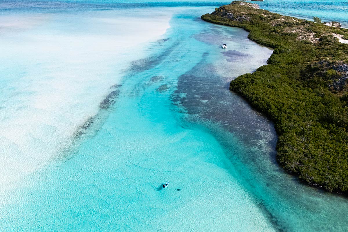 Christy Woodrow tweet media