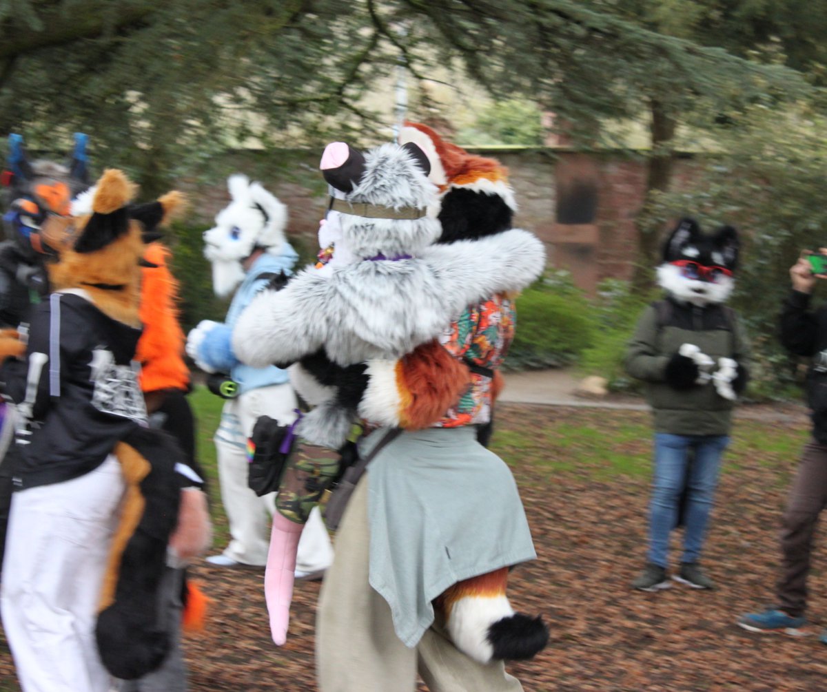 Programmausfall tweet media