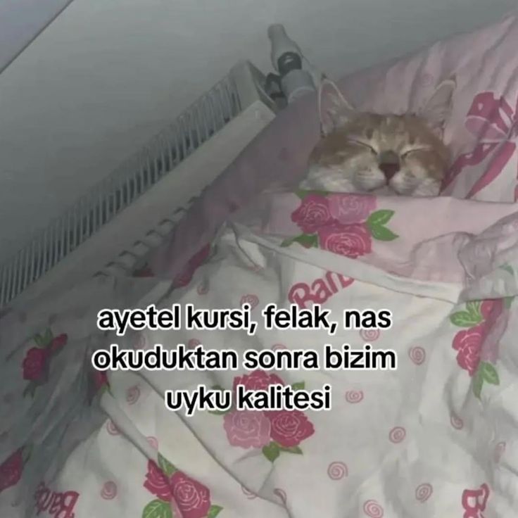 𝖘𝖊𝖉𝖊𝖋🔅 tweet media