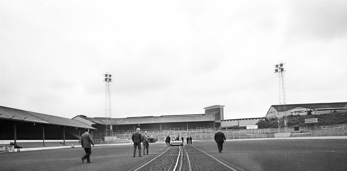 VOTE DALEY tweet media