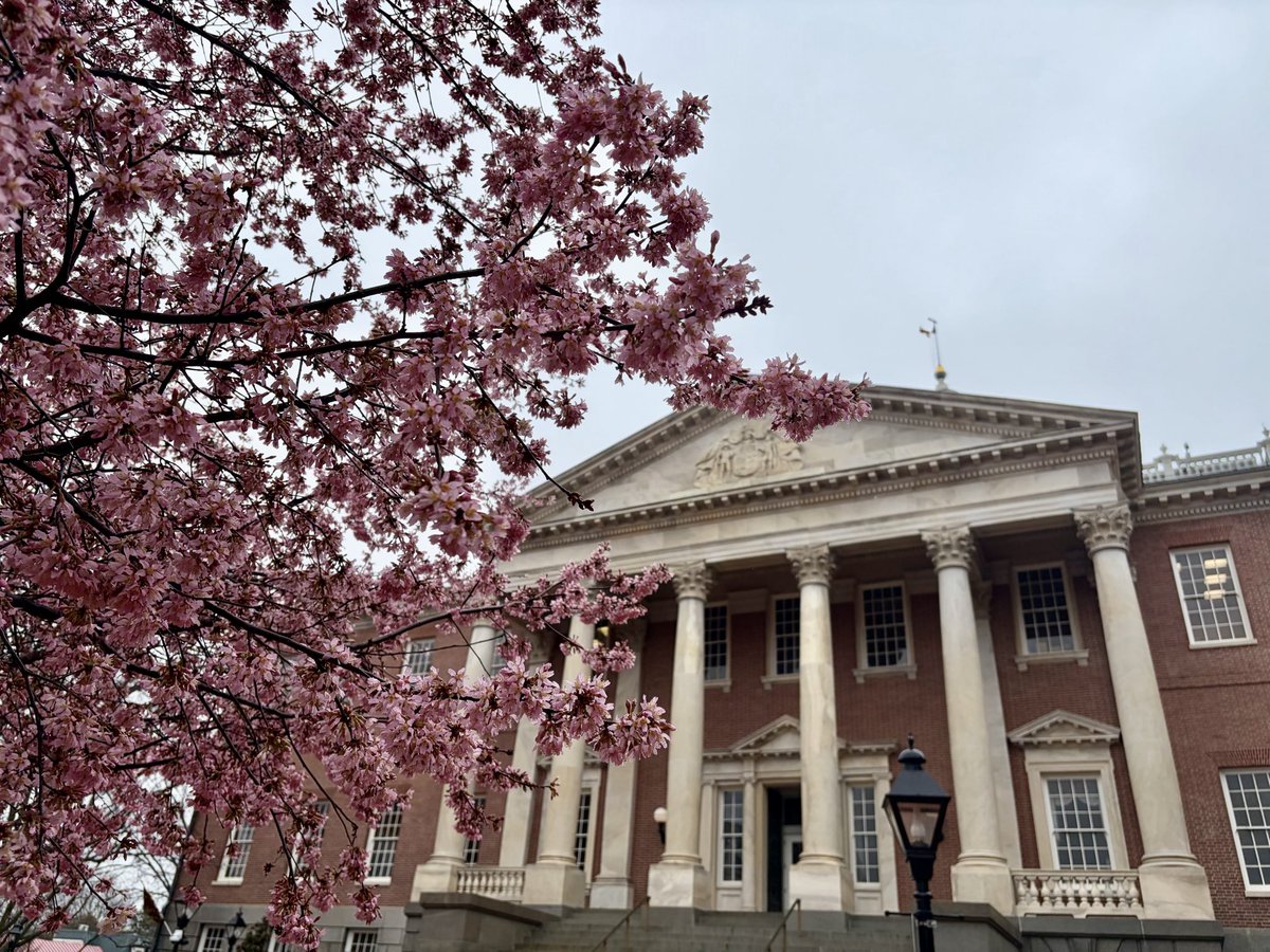 Pamela Wood tweet media