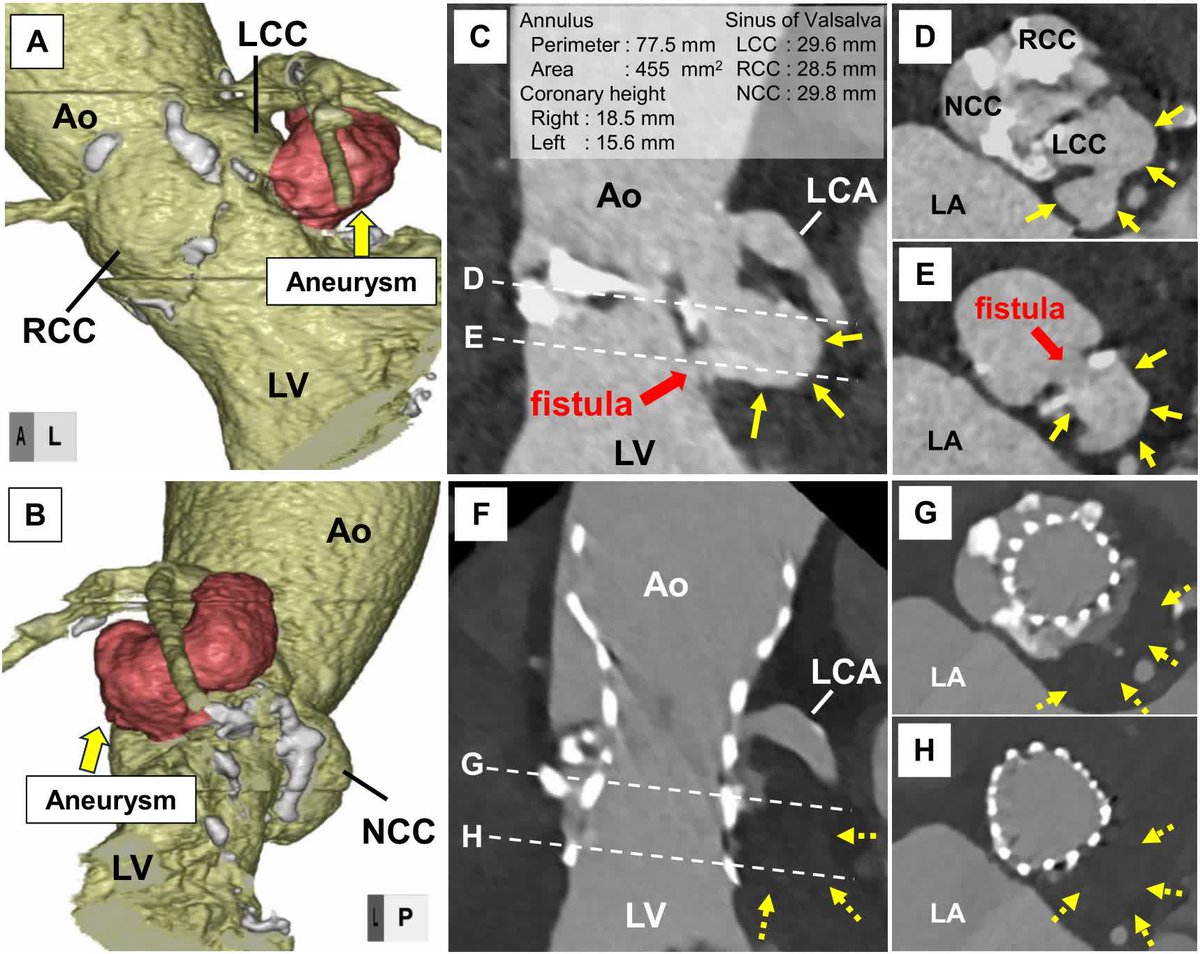 CircImaging tweet media