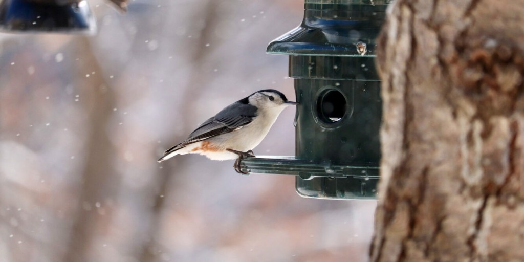 Frontenac Provincial Park tweet media
