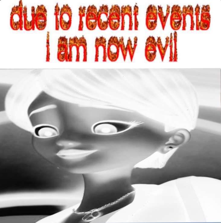 Nadja Chamack 🎤 tweet media