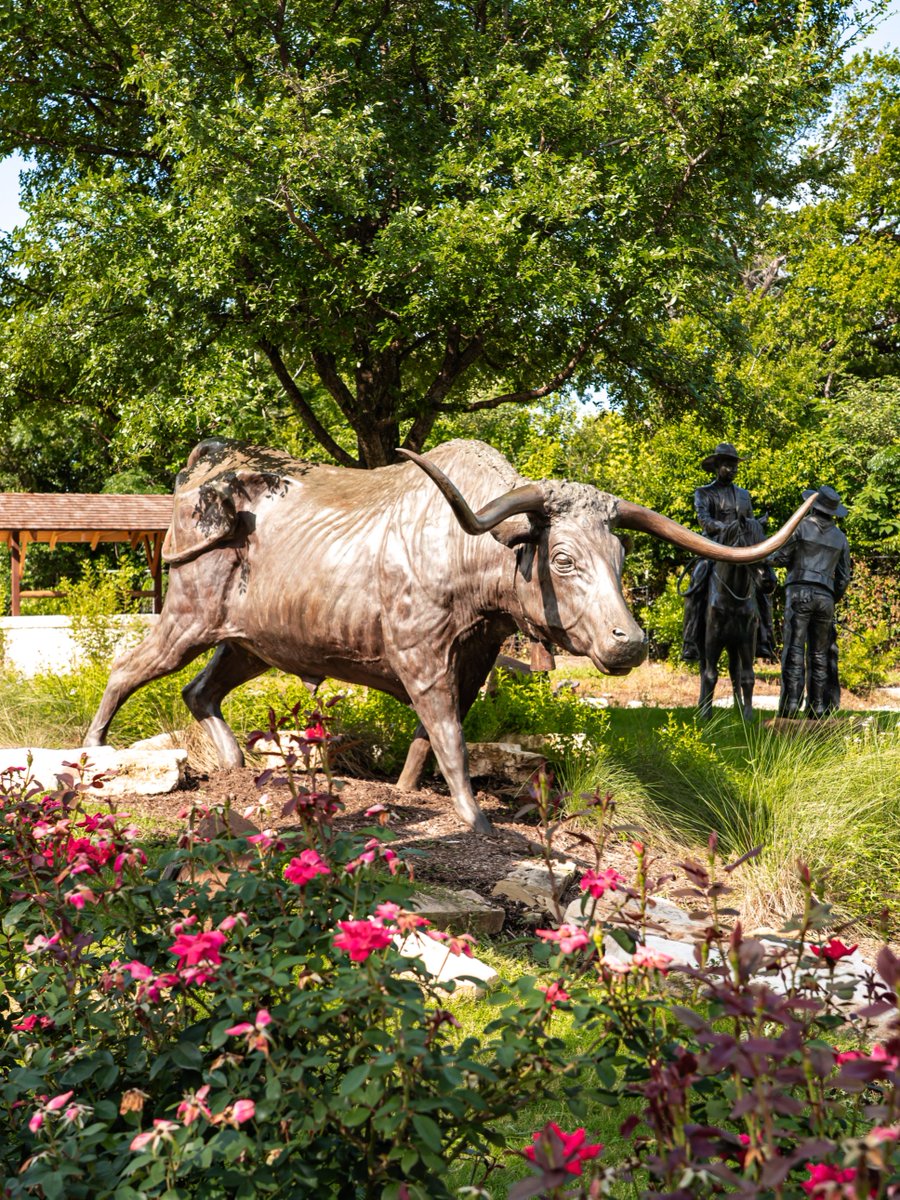 Go Round Rock tweet media