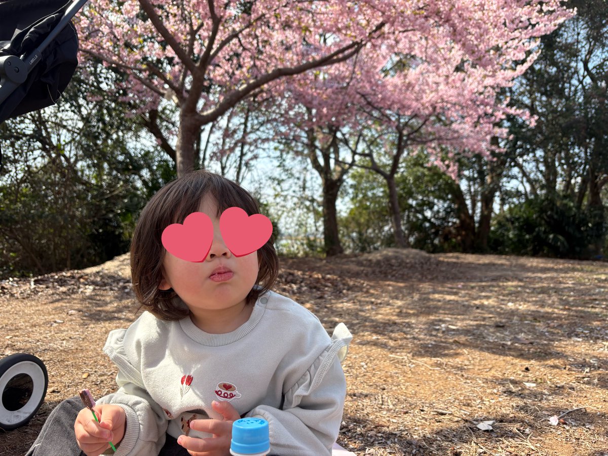 a_y4180911's tweet photo. 1日目は友達と河津桜を見に行ってお弁当を食べたり、カートに乗った後広い公園に行った😄
2日目は娘と二人で同じ場所でご飯食べたり、パンケーキを食べたりしたよ😆 https://t.co/HgpWczmuGc