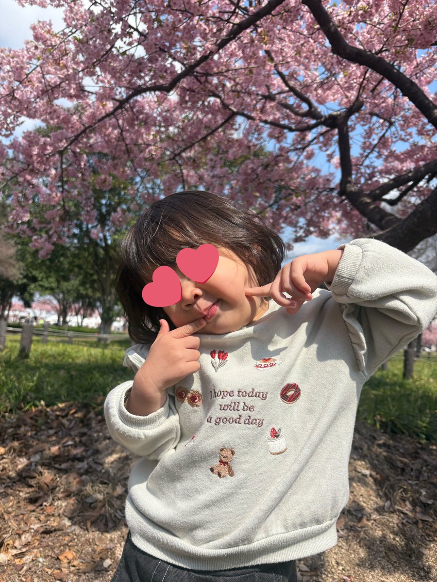 a_y4180911's tweet photo. 1日目は友達と河津桜を見に行ってお弁当を食べたり、カートに乗った後広い公園に行った😄
2日目は娘と二人で同じ場所でご飯食べたり、パンケーキを食べたりしたよ😆 https://t.co/HgpWczmuGc