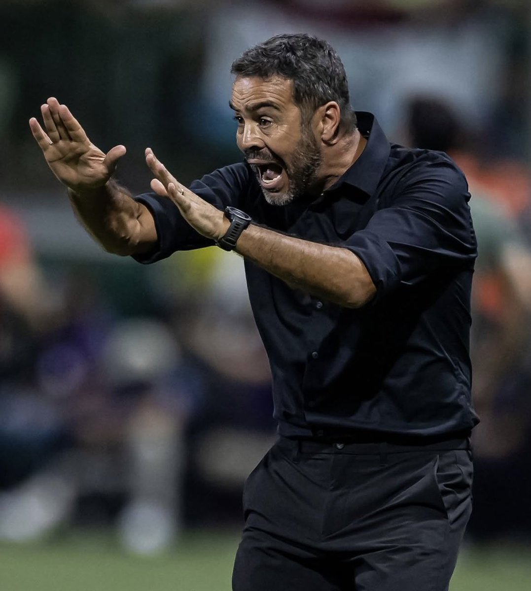 Mesmo com um trabalho muito sólido nos primeiros meses de Botafogo, Artur Jorge recebeu duas peças no segundo semestre de 2024 que foram fundamentais para dar o fôlego necessário rumo às conquistas de Libertadores e Brasileirão: Thiago Almada e Igor Jesus.

Caso realmente