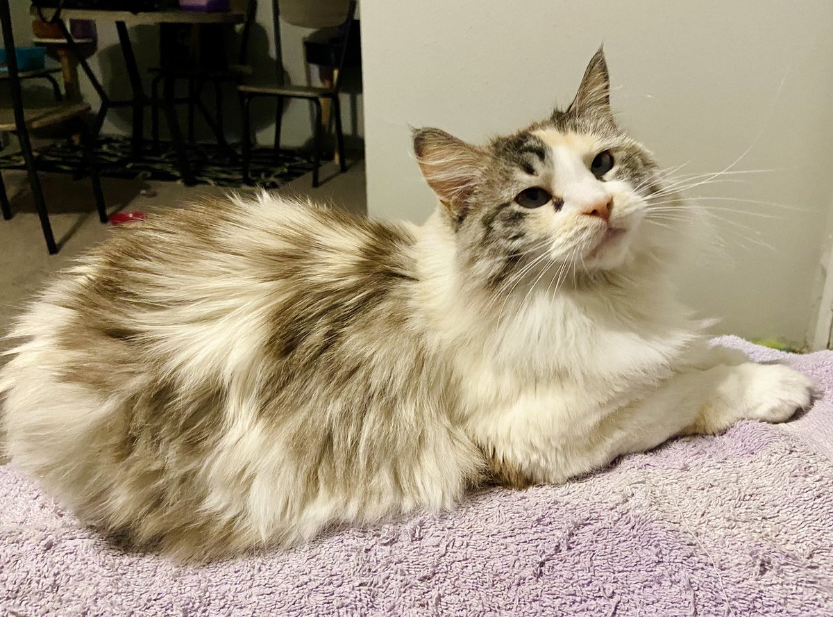 marrow 🔞 tweet media